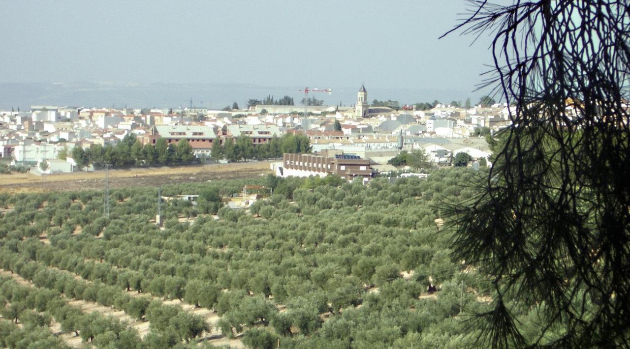 Hotel La Zambra Mancha Real Buitenkant foto